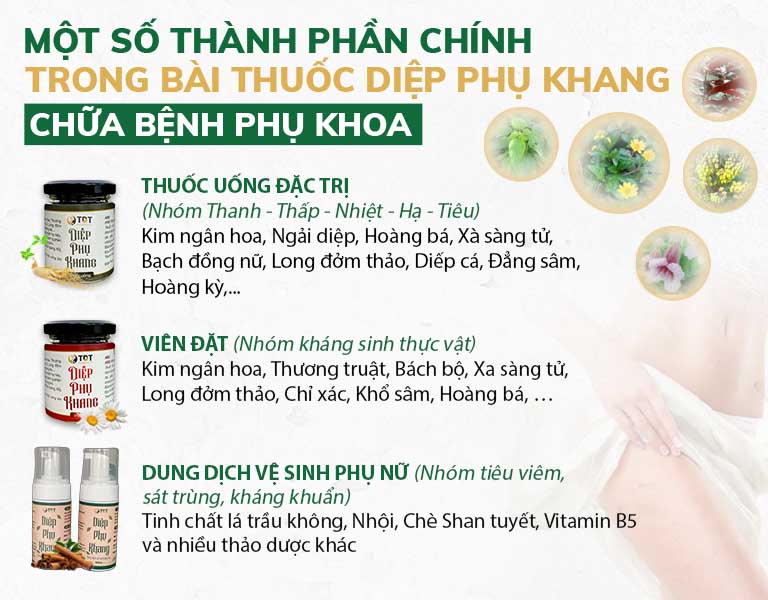 Thành phần các chế phẩm có trong Diệp Phụ Khang