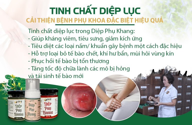 Vai trò của tinh chất diệp lục trong điều trị bệnh phụ khoa, nấm candida