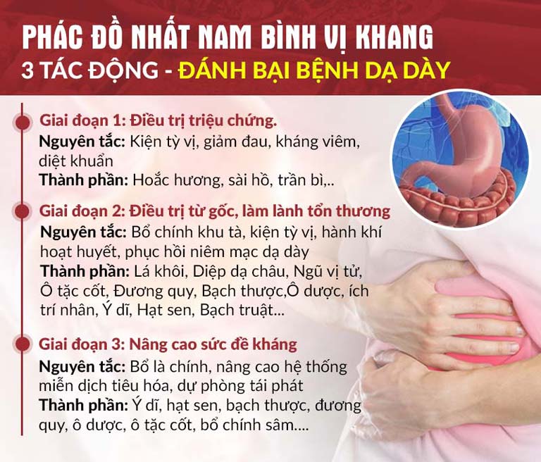 Phác đồ 3 tác động của Nhất Nam Bình Vị Khang