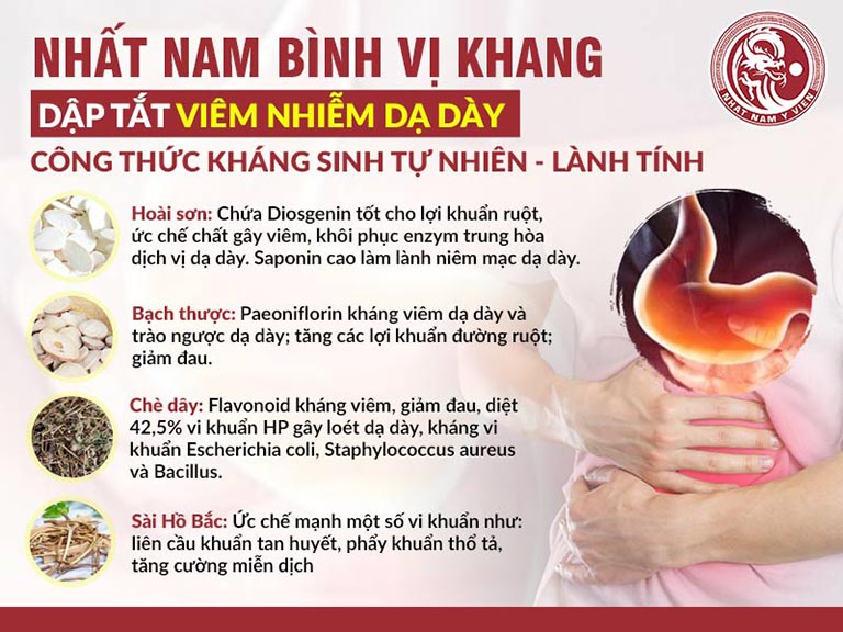 Thảo dược chứa thành phần kháng sinh tự nhiên trong Nhất Nam Bình Vị Khang