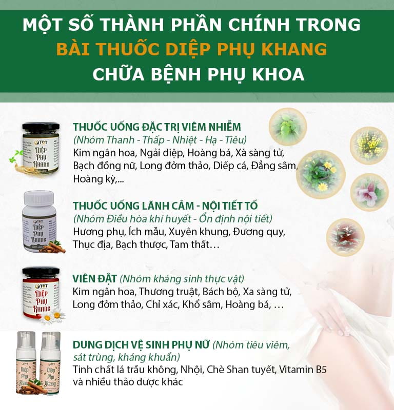 Thành phần có trong chế phẩm Diệp phụ khang