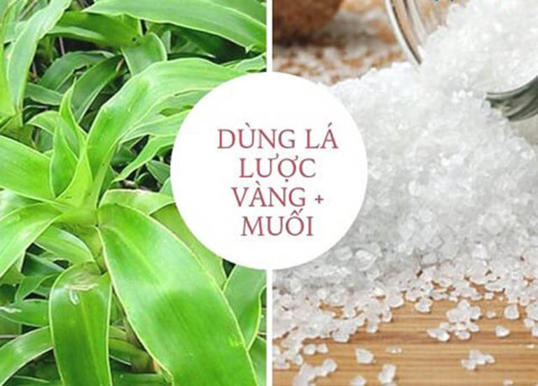 lá cây trị viêm họng là cây lược vàng