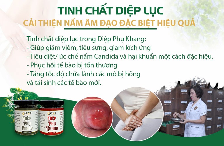 Công dụng của tinh chất diệp lục trong chữa bệnh phụ khoa, viêm nấm âm đạo