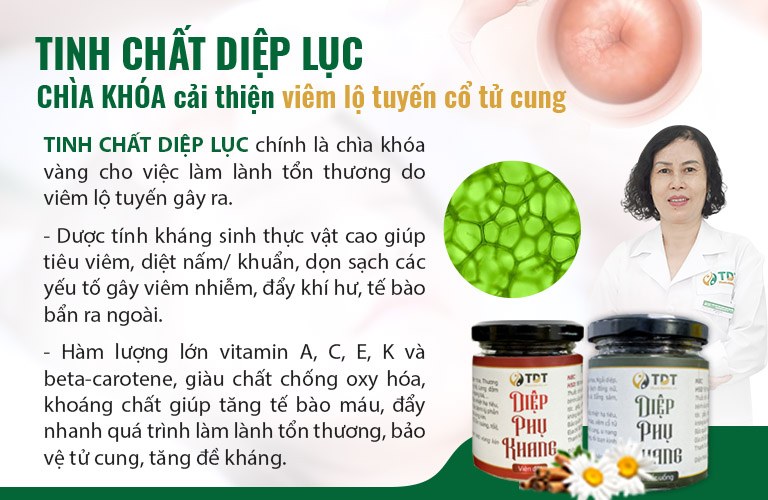 Công dụng của tinh chất diệp lục trong chữa viêm lộ tuyến cổ tử cung