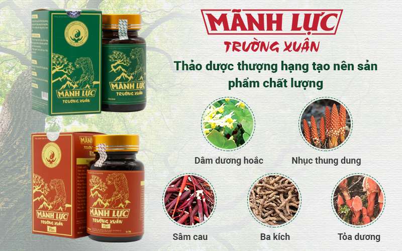 Thành phần Mãnh lực Trường xuân