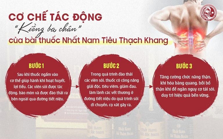 Cơ chế tác động kiềng ba chân của bài thuốc Nhất Nam Tiêu Thạch Khang