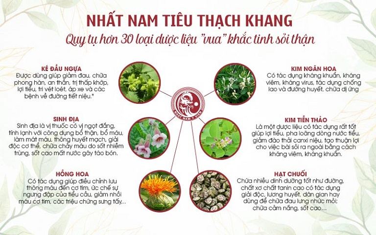 Nguồn dược liệu sạch - đạt chuẩn được sử dụng trong bài thuốc Nhất Nam Tiêu Thạch Khang