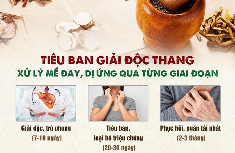 Hiệu quả điều trị mề đay Tiêu ban Giải độc thang