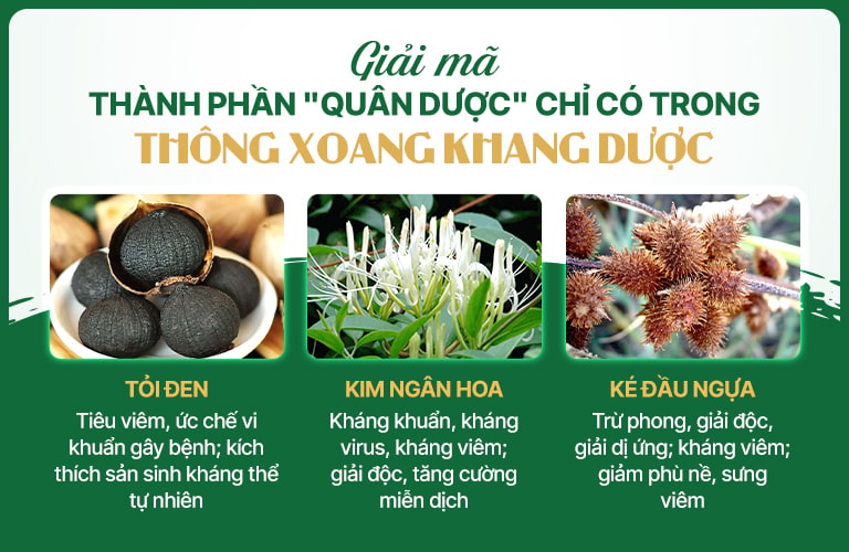 Thành phần Quân dược trong bài thuốc Thông xoang Khang dược