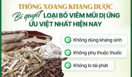 Bài thuốc Thông Xoang Khang Dược đặc trị bệnh viêm mũi dị ứng